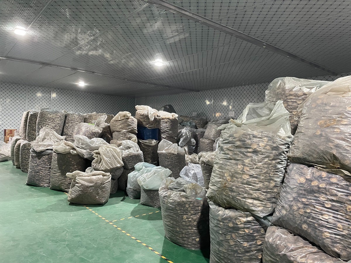 1767942550447801.jpg 1767942550447801.jpg