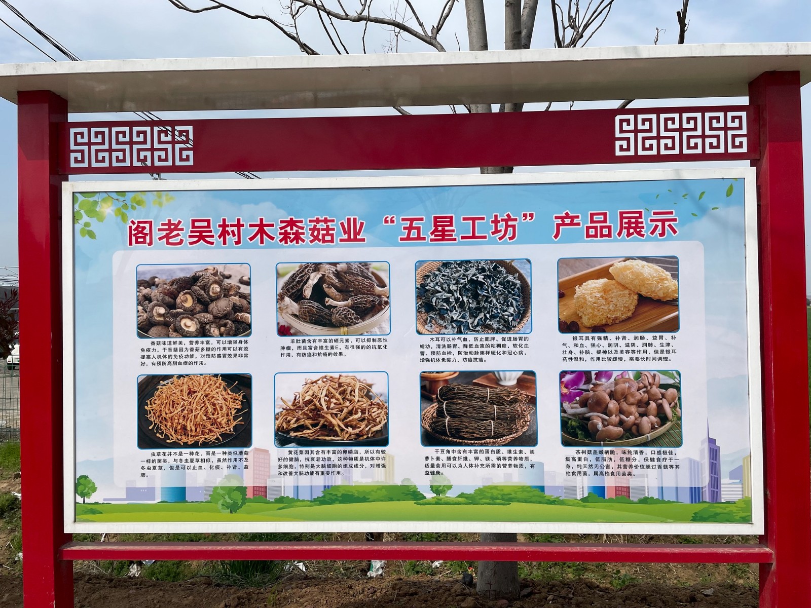 1775026517708763.jpg 1775026517708763.jpg