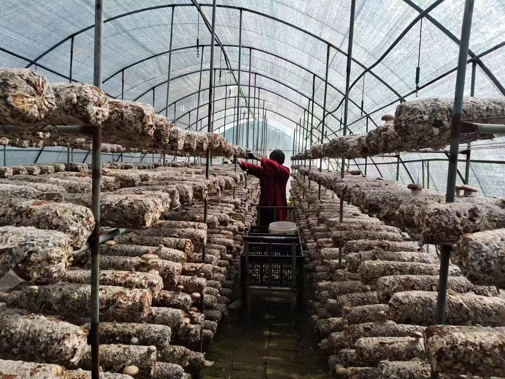 1775801413743921.jpg 1775801413743921.jpg