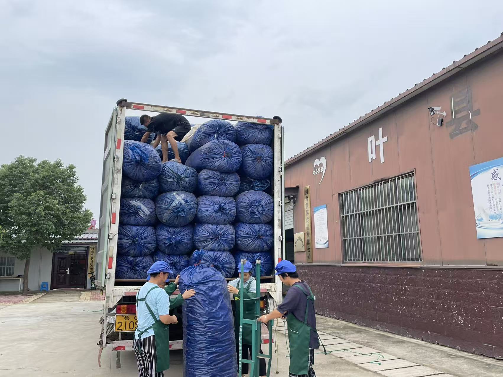 1775801449734740.jpg 1775801449734740.jpg